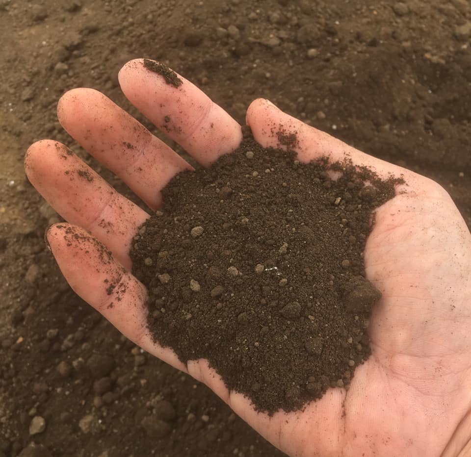 関東ローム層の豊かな土壌が甘いおおまさりを育てる