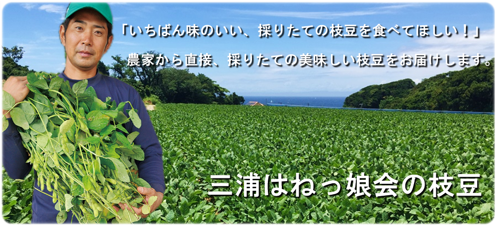 農家直送！岩崎ファームは美味しい枝豆を通販でお届けします。