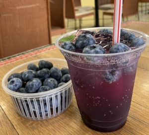 ブルーベリーソーダ